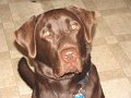 2010-04_21 Hemi_0034